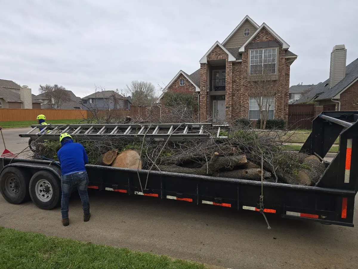 Expert Lot Clearing with proper safety equipment in Realitos